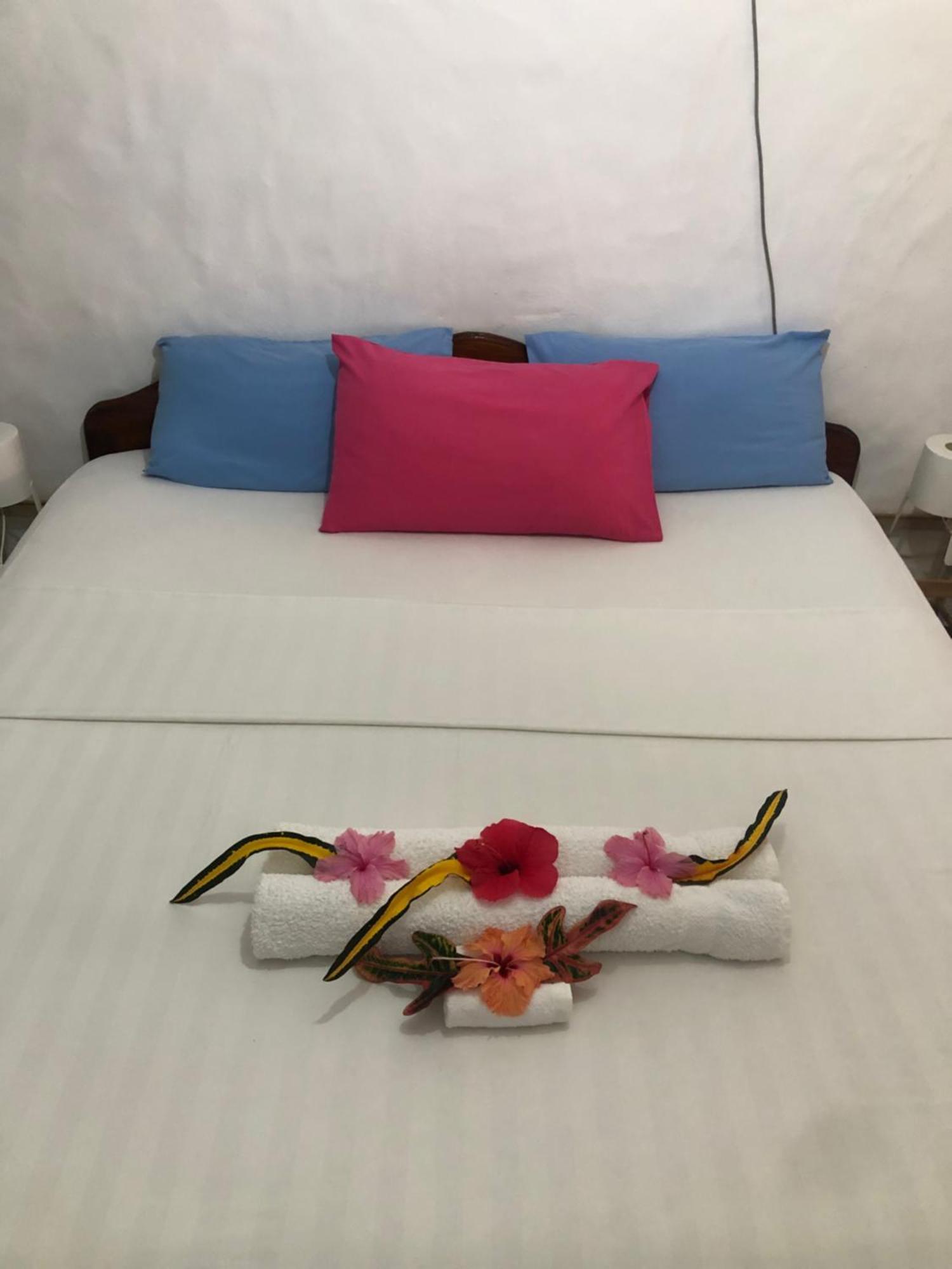 Hcs Bungalows Turtle Bay Rustic Bungalow أو كاب المظهر الخارجي الصورة